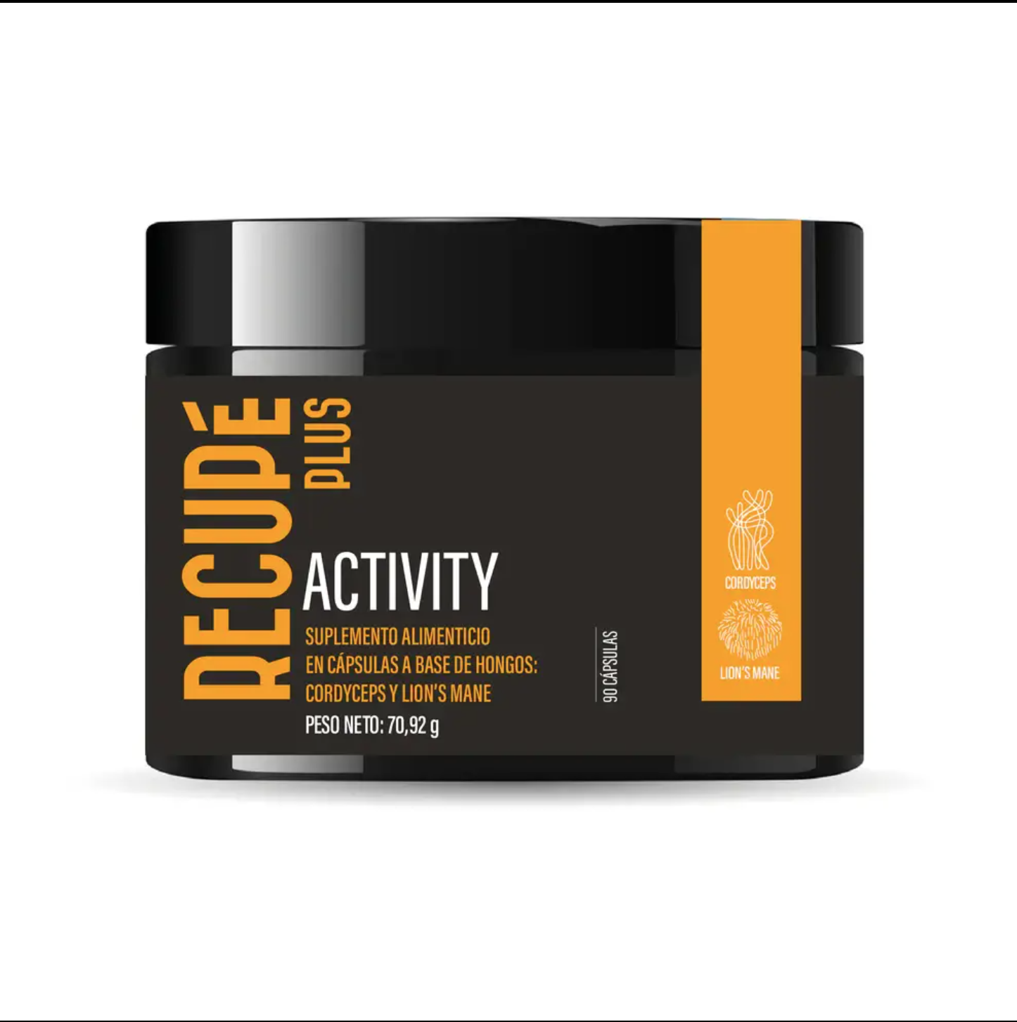 ACTIVITY Hongos Medicinales