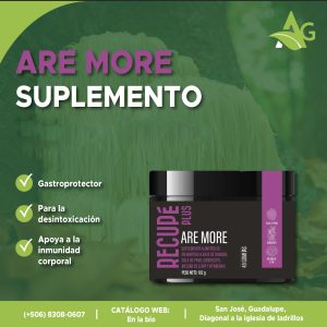 ARE MORE Hongos medicinales con permisos de salud